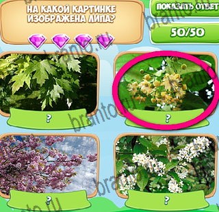 Узнавайка игра подсказки Уровень 474
