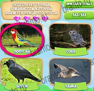 Узнавайка игра подсказки Уровень 494