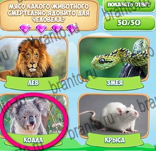 Узнавайка ответы в картинках в контакте Уровень 496