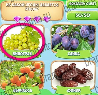 ответы к игре Узнавайка Уровень 515