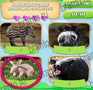 ответы на игру в одноклассниках Узнавайка Уровень 516