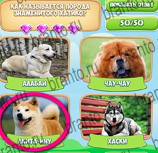 Узнавайка решения Уровень 522