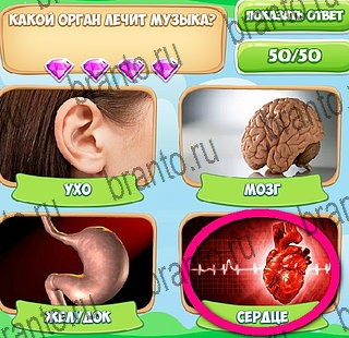 Узнавайка игра в одноклассниках помощь Уровень 525