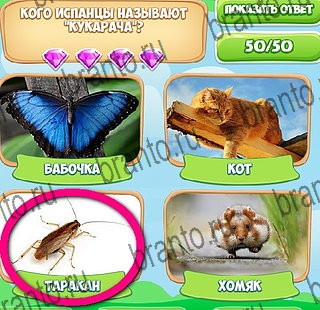 Узнавайка игра помощь в контакте Уровень 535