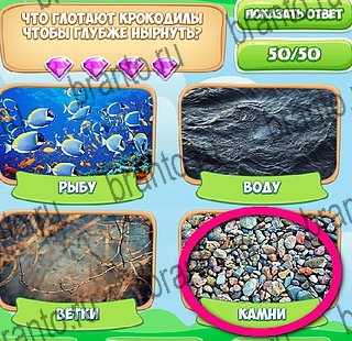 ответы на игру Узнавайка в одноклассниках Уровень 541