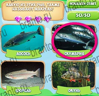 Подсказки на игру Узнавайка ВК Уровень 542