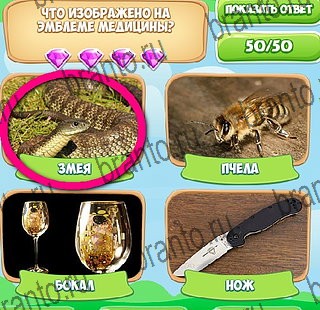 ответы к игре Узнавайка Уровень 545