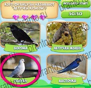 ответы на игру в одноклассниках Узнавайка Уровень 546