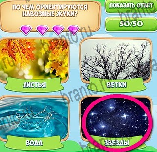 Узнавайка ответы в картинках в контакте Уровень 556
