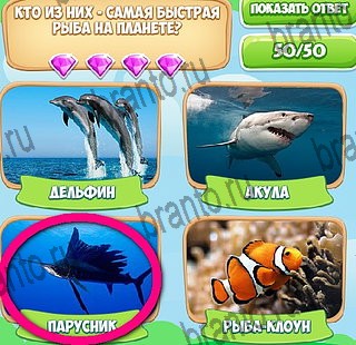 игра Узнавайка помощь ВК Уровень 559