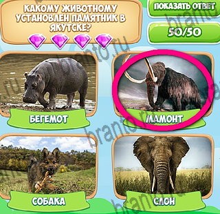 игра Узнавайка ответы в одноклассниках на Уровень 560