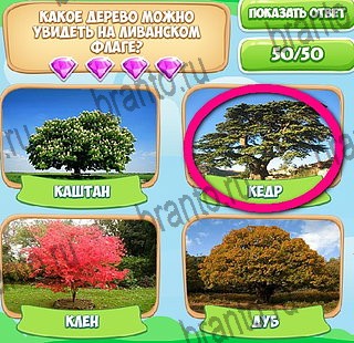 Игра Узнавайка ответы вконтакте Уровень 567