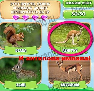 Игра Узнавайка подсказки вконтакте Уровень 568