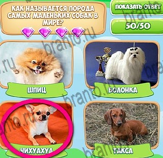 Решения на игру Узнавайка в контакте Уровень 573