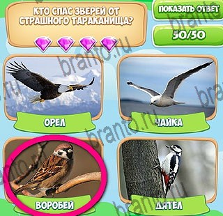 ответы на игру в одноклассниках Узнавайка Уровень 576