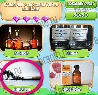 ВК Узнавайка ответы Уровень 578