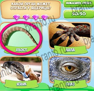 Узнавайка подсказки в контакте Уровень 579