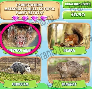 Игра Узнавайка ответы вк Уровень 587