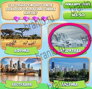 Узнавайка решения Уровень 592