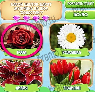 Узнавайка игра подсказки Уровень 594