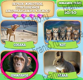 Игра Узнавайка ответы вконтакте Уровень 597