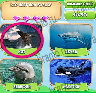 Игра Узнавайка подсказки вконтакте Уровень 598