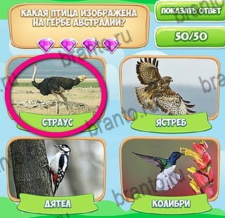 ответы на игру в одноклассниках Узнавайка Уровень 607