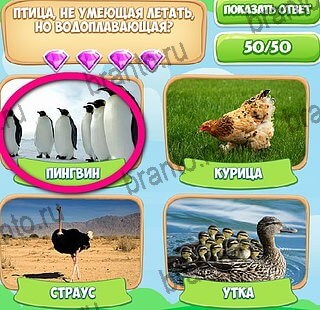 решебник на игру Узнавайка Уровень 612