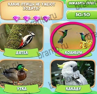 Узнавайка игра ответы Уровень 614