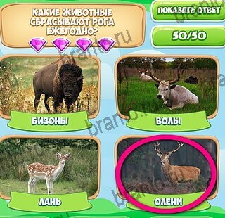 Узнавайка игра подсказки Уровень 615