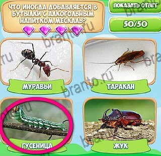 Узнавайка игра в одноклассниках помощь Уровень 616