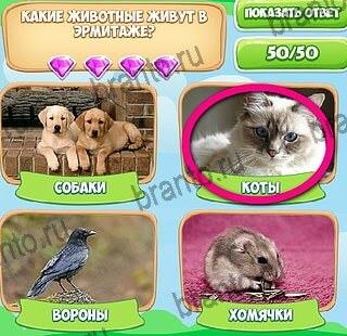 Узнавайка игра помощь в контакте Уровень 626