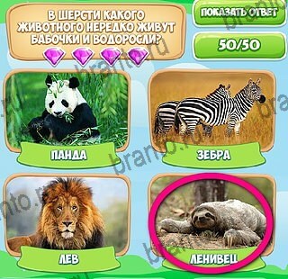 ответы к игре Узнавайка Уровень 636