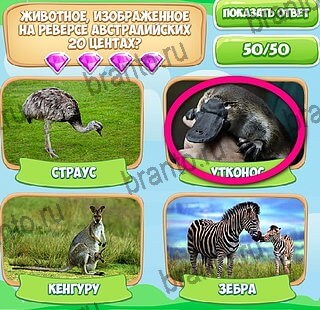 Узнавайка подсказки в контакте Уровень 640