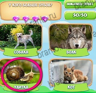 Узнавайка решения Уровень 643