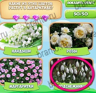 Узнавайка игра ответы Уровень 644