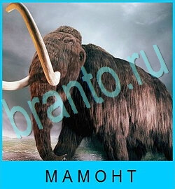 игра В мире животных помощь ВК уровень 48