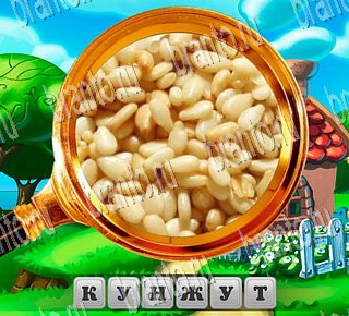 В поисках приключений ВКонтакте найти ответы Уровень 98