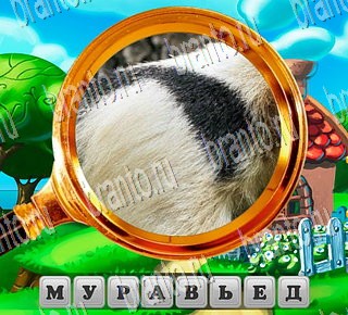 игра В поисках приключений в Одноклассниках подсказки Уровень 104