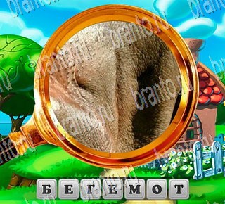 решения на все задания игры В поисках приключений Уровень 118