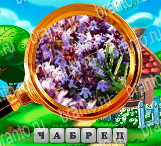 В поисках приключений в Одноклассниках помощь Уровень 136