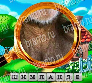 В поисках приключений все отгадки ВКонтакте Уровень 139