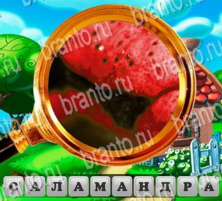 В поисках приключений игра ответы Уровень 149