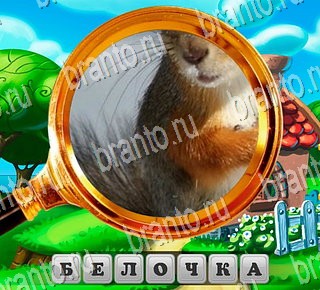 ВКонтакте В поисках приключений ответ на Уровень 154