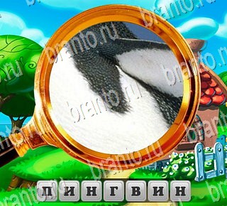 В поисках приключений ВКонтакте подсказки Уровень 163