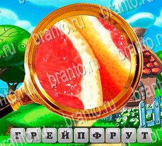 Игра В поисках приключений ВКонтакте решения Уровень 167