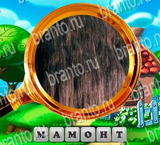 игра В поисках приключений разгадки на все задания Уровень 172