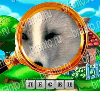 игра В поисках приключений ответы Уровень 180