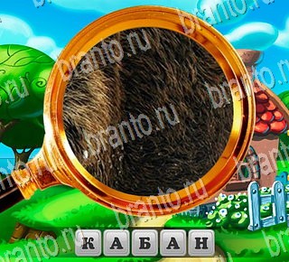 В поисках приключений все отгадки ВКонтакте Уровень 199