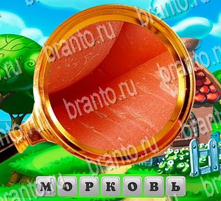 В поисках приключений разгадки к игре Уровень 201